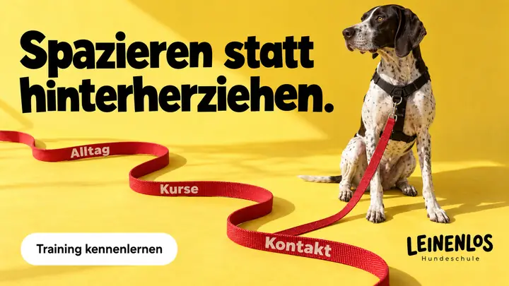 Design-Idee Hundeschule