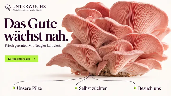 Design-Idee Pilzzucht