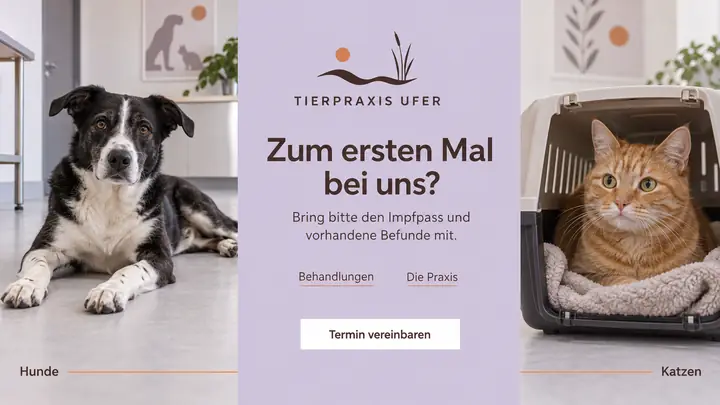 Design-Idee Tierarztpraxis
